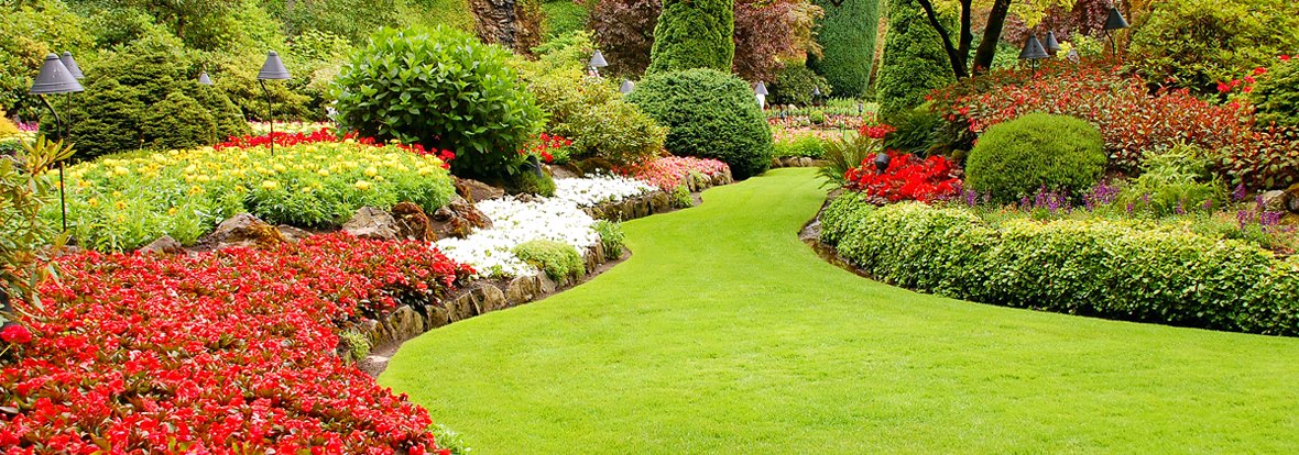 Usługi w zakresie zieleni