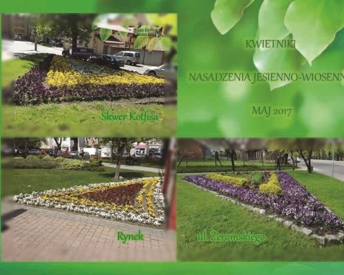 Rabaty kwiatowe - place i&nbsp;skwery